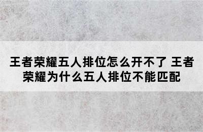 王者荣耀五人排位怎么开不了 王者荣耀为什么五人排位不能匹配